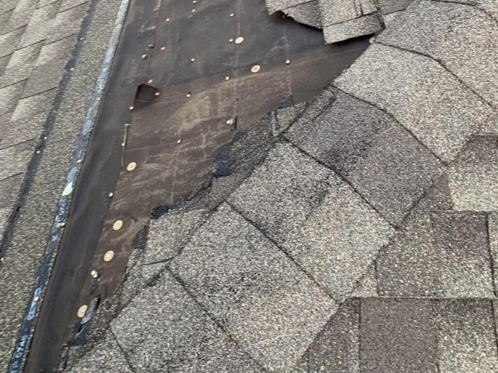 Damaged Asphalt Shingles on a residential home in Tampa 